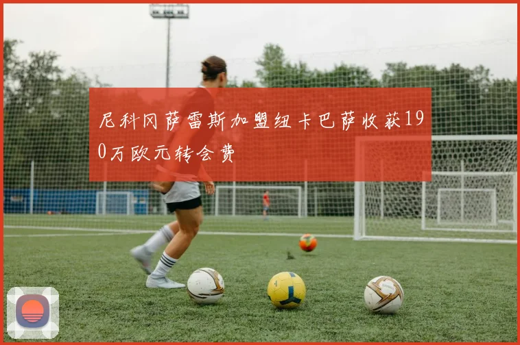 尼科冈萨雷斯加盟纽卡巴萨收获190万欧元转会费
